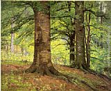 Famous Trees Paintings - Beech Trees